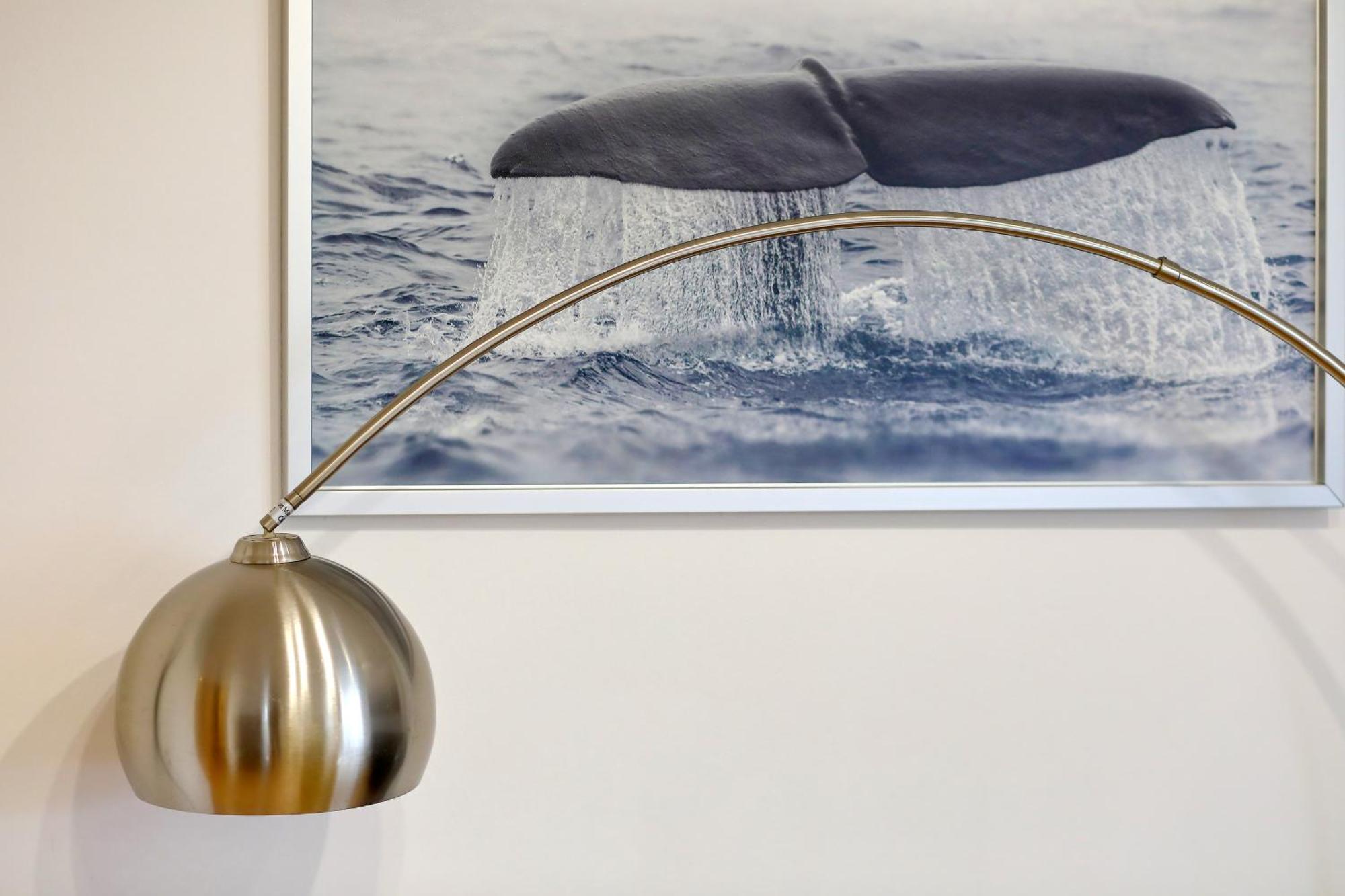 Apartman Tea Maraska Zadar Dış mekan fotoğraf